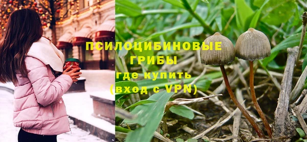 мяу мяу кристалл Покачи