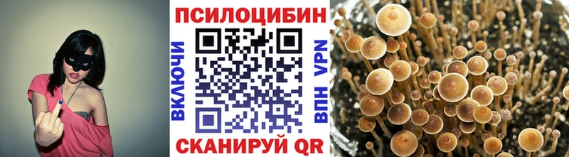 Псилоцибиновые грибы прущие грибы Ак-Довурак